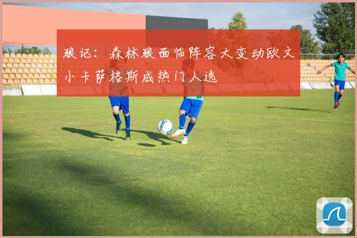狼记：森林狼面临阵容大变动欧文小卡萨格斯成热门人选