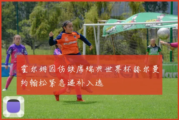 霍尔姆因伤缺席瑞典世界杯赫尔曼约翰松紧急递补入选