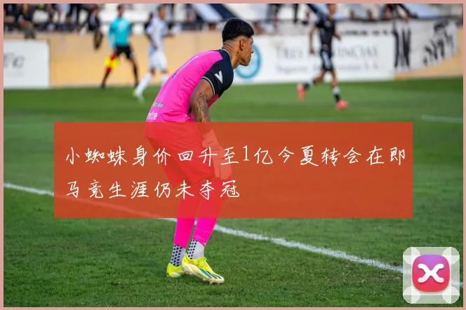 小蜘蛛身价回升至1亿今夏转会在即马竞生涯仍未夺冠